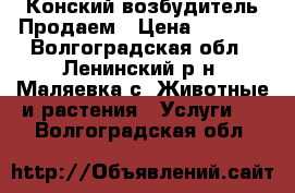 Конский возбудитель Продаем › Цена ­ 2 000 - Волгоградская обл., Ленинский р-н, Маляевка с. Животные и растения » Услуги   . Волгоградская обл.